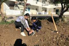 WhatsApp-Image-2025-04-29-at-5.11.16-PM