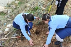 WhatsApp-Image-2025-04-29-at-5.12.10-PM