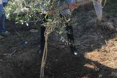 WhatsApp-Image-2025-04-29-at-5.12.33-PM-1