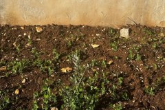 WhatsApp-Image-2025-04-29-at-5.13.05-PM