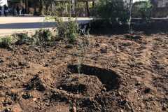 WhatsApp-Image-2025-04-29-at-5.13.42-PM