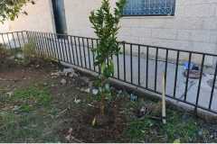 WhatsApp-Image-2025-04-29-at-5.14.05-PM