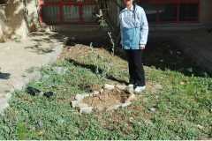 WhatsApp-Image-2025-04-29-at-5.14.56-PM