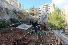 WhatsApp-Image-2025-04-29-at-5.17.20-PM