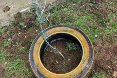 WhatsApp-Image-2025-04-29-at-5.18.06-PM