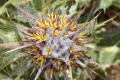 NABLUS-25.4.2012-152