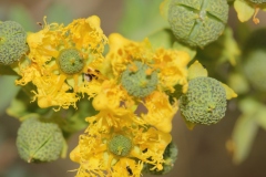 NABLUS-25.4.2012-189