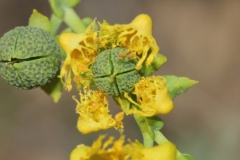 NABLUS-25.4.2012-201