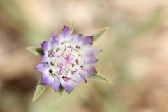 NABLUS-25.4.2012-223