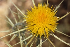 NABLUS-25.4.2012-244