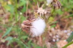 WhatsApp-Image-2025-05-01-at-2.47.24-PM