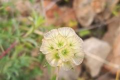 WhatsApp-Image-2025-05-01-at-2.47.26-PM