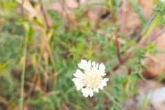 WhatsApp-Image-2025-05-01-at-2.47.27-PM