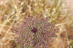 WhatsApp-Image-2025-05-01-at-2.47.28-PM