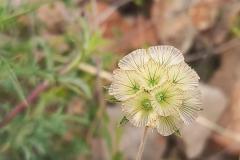 WhatsApp-Image-2025-05-01-at-2.47.29-PM