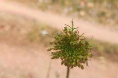 WhatsApp-Image-2025-05-01-at-2.47.31-PM-2