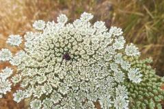 WhatsApp-Image-2025-05-01-at-2.47.31-PM-3