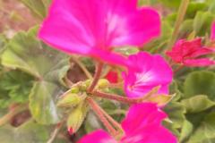 WhatsApp-Image-2025-05-01-at-2.47.32-PM-1