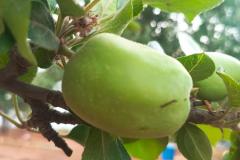 WhatsApp-Image-2025-05-01-at-2.47.32-PM-3