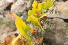 WhatsApp-Image-2025-05-01-at-2.47.33-PM-1