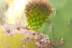 WhatsApp-Image-2025-05-01-at-2.47.33-PM-3