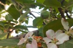 WhatsApp-Image-2025-05-01-at-2.47.33-PM