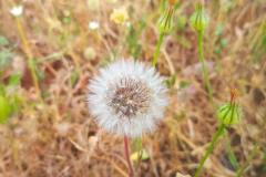 WhatsApp-Image-2025-05-01-at-2.47.34-PM-1