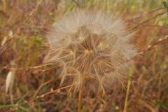 WhatsApp-Image-2025-05-01-at-2.47.34-PM