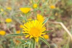 WhatsApp-Image-2025-05-01-at-2.47.43-PM-1