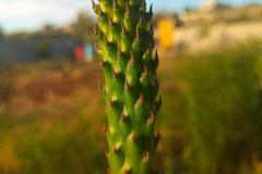 WhatsApp-Image-2025-05-01-at-2.47.45-PM-1