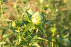 WhatsApp-Image-2025-05-01-at-2.47.51-PM