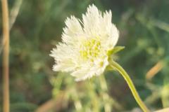 WhatsApp-Image-2025-05-01-at-2.47.52-PM-1