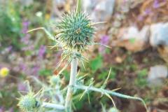 WhatsApp-Image-2025-05-01-at-2.47.52-PM-2