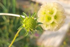 WhatsApp-Image-2025-05-01-at-2.47.52-PM