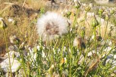 WhatsApp-Image-2025-05-01-at-2.47.55-PM-1