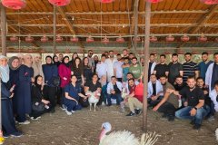 1.jpeg__1200x675_q85_crop_subsampling-2_upscale