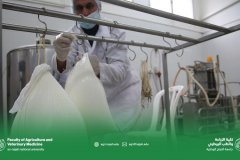 10.jpg__800x500_q85_crop_subsampling-2_upscale