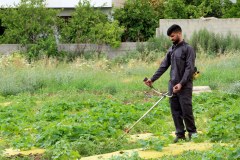 100766045_3112215608846274_7106636871475658752_n