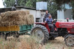 101004556_3112211168846718_3104727997379248128_n