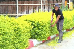 101257096_3112209945513507_6119620109448249344_n