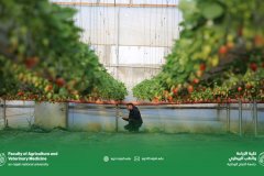 11.jpg__800x500_q85_crop_subsampling-2_upscale