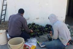 12432623_1197733196921651_541636051_o