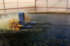 20140906_111244.jpg__1170x658_q85_crop_subsampling-2_upscale