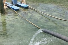 2222.jpg__1170x658_q85_crop_subsampling-2_upscale