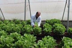 30051977_897882827064222_4912358473993428798_o.jpg__1170x658_q85_crop_subsampling-2_upscale