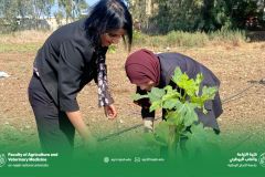 481006229_1162592892320890_8772426650301651113_n