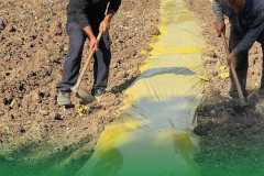 484812932_1180447677202078_2470008548419268050_n