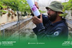 484947944_1180782803835232_215786731101180488_n