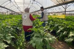 484983781_1181138460466333_4471407969106672180_n