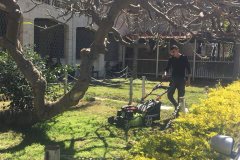 54278244_2229933483741162_7283269785230508032_n